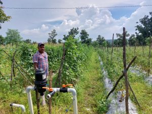 मनरेगा की एक छोटी सी मदद से मिली उन्नति की नई राह : कृषक बीरसाय मनरेगा की एक छोटी सी मदद से मिली उन्नति की नई राह : कृषक बीरसाय
