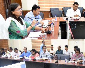 विशेष अभियान चलाकर की जाएगी करों की वसूली- कलेक्टर विशेष अभियान चलाकर की जाएगी करों की वसूली- कलेक्टर