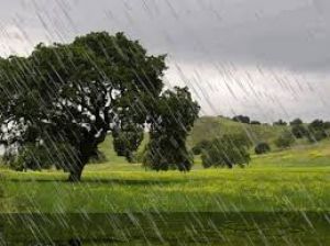 छत्तीसगढ़ में अब तक 1050.8 मि.मी. औसत वर्षा दर्ज छत्तीसगढ़ में अब तक 1050.8 मि.मी. औसत वर्षा दर्ज