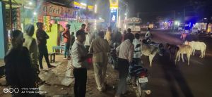  सड़क दुर्घटनाओं को रोकने के लिए गायों  को बांधे जा रहे रेडियम बेल्ट