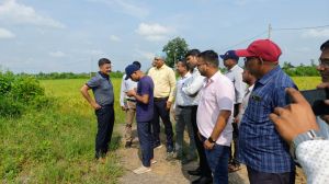 कलेक्टर पहुंचे खेत, डिजिटल क्रॉप सर्वे का लिया जायज़ा कलेक्टर पहुंचे खेत, डिजिटल क्रॉप सर्वे का लिया जायज़ा