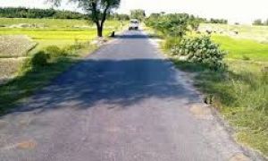 समवेत प्रयासों से जिले में आवारा पशुओं का हो रहा बेहतर प्रबंधन समवेत प्रयासों से जिले में आवारा पशुओं का हो रहा बेहतर प्रबंधन