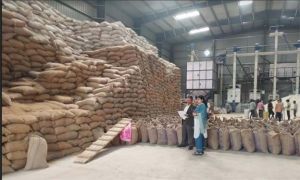 19 राईस मिलरों ने जमा नहीं कराया कस्टम मिलिंग का चावल 19 राईस मिलरों ने जमा नहीं कराया कस्टम मिलिंग का चावल