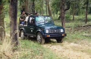 ओलंपियन मनु भाकर ने परिवार सहित बारनवापारा अभयारण्य का किया भ्रमण ओलंपियन मनु भाकर ने परिवार सहित बारनवापारा अभयारण्य का किया भ्रमण