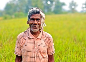  कोदो की खेती कर आर्थिक रूप से समृद्ध होने की राह पर अग्रसर हैं ग्राम अड़जाल के किसान