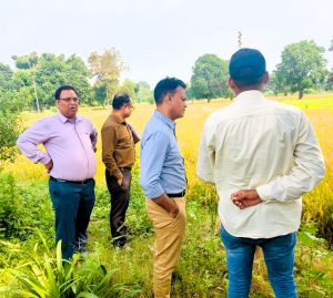 कलेक्टर ने दुधली में किया फसल गिरदावरी के कार्य का निरीक्षण  