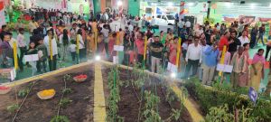 छत्तीसगढ़ राज्योत्सव में संचालनालय उद्यानिकी द्वारा तैयार बागवानी का आकर्षक जीवंत प्रदर्शन