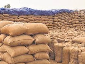 केन्द्रों में धान खरीदी की तैयारियां लगभग पूर्ण, 14 नवम्बर से 140 केन्द्रों में शुरू होगी खरीदी केन्द्रों में धान खरीदी की तैयारियां लगभग पूर्ण, 14 नवम्बर से 140 केन्द्रों में शुरू होगी खरीदी