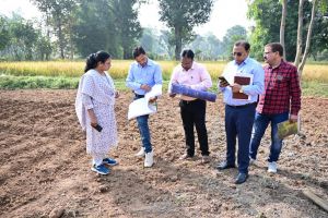 किसानों के खेत पहुंचकर कलेक्टर ने फसल गिरदावरी का किया भौतिक सत्यापन किसानों के खेत पहुंचकर कलेक्टर ने फसल गिरदावरी का किया भौतिक सत्यापन