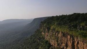 गुरू घासीदास-तमोर पिंगला बना देश का 56वां टाइगर रिजर्व गुरू घासीदास-तमोर पिंगला बना देश का 56वां टाइगर रिजर्व