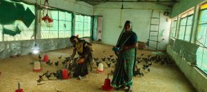   राष्ट्रीय आजीविका मिशन से  मोहला- मानपुर जिले की महिलाएं हो रहीं सशक्त