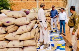  बागबाहरा अनुभाग में एसडीएम के नेतृत्व में एक ही दिन में 1590 कट्टा धान की जब्ती