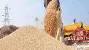 रायपुर जिले में आज तक 64109 टन धान की खरीदी