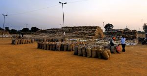 इलेक्ट्राॅनिक तौल मशीन, आनलाईन टोकन की सुविधा से किसानों को धान बिक्री करने में हो रही है आसानी इलेक्ट्राॅनिक तौल मशीन, आनलाईन टोकन की सुविधा से किसानों को धान बिक्री करने में हो रही है आसानी