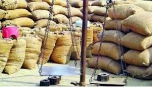 जिले में 12 हजार 303 टन धान की हुई खरीदी जिले में 12 हजार 303 टन धान की हुई खरीदी