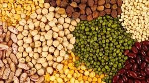 मुख्यमंत्री की पहल पर तिलहन फसलों के बीज उत्पादन और वितरण पर अनुदान राशि 1500 रुपए करने की स्वीकृति मुख्यमंत्री की पहल पर तिलहन फसलों के बीज उत्पादन और वितरण पर अनुदान राशि 1500 रुपए करने की स्वीकृति