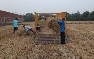 भिलाई के कांजी हाउस के लिए चारा देने की अपील , नोडल अधिकारी का फोन नंबर जारी भिलाई के कांजी हाउस के लिए चारा देने की अपील , नोडल अधिकारी का फोन नंबर जारी