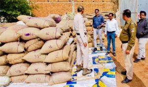 अवैध धान परिवहन व भण्डारण पर सतत कार्रवाई जारी अवैध धान परिवहन व भण्डारण पर सतत कार्रवाई जारी