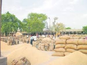  रायपुर जिले में  आज 14 हजार 218 टन धान की हुई खरीदी