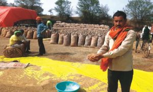  सफलता की कहानी : प्रगतिशील कृषक धनेश रबी फसल की तैयारी में