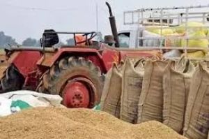 व्यवहारिक दिक्कतों के चलते धान &zwnj;बेचने में परेशानियों से सांसत् में किसान, ज्ञापन 