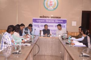 कलेक्टर डाॅ. गौरव सिंह ने ली पशु कल्याण समिति की बैठक कलेक्टर डाॅ. गौरव सिंह ने ली पशु कल्याण समिति की बैठक