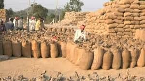 राज्य में अब तक 42.83 लाख मीट्रिक टन धान की हुई खरीदी