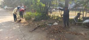 उद्यानों को साफ-सुथरा बनाने के लिए चल रहा विशेष सफाई अभियान उद्यानों को साफ-सुथरा बनाने के लिए चल रहा विशेष सफाई अभियान