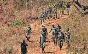 बीजापुर जिले में सुरक्षाकर्मियों के साथ मुठभेड़ में दो नक्सली मारे गये बीजापुर जिले में सुरक्षाकर्मियों के साथ मुठभेड़ में दो नक्सली मारे गये