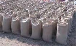 उपार्जन केन्द्रों में धान जाम होने के बाद भी खरीदी का दबाव, कर्मी सांसत् में 