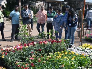   दिल्ली एवं रायपुर की टीम आई फूलों के  बाजार का निरीक्षण करने 