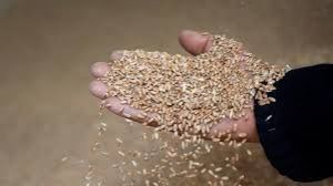  सहकारी समितियों का निरीक्षण लगातार जारी 