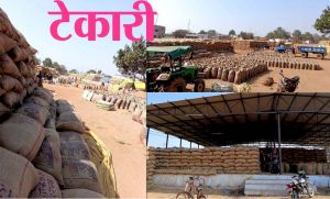  मंदिर हसौद शाखा के 7 केन्द्रों में 33 लाख कट्टा धान जाम