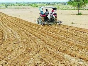  छत्तीसगढ़ में अब तक 14.13 लाख हेक्टेयर में रबी फसलों की बोनी