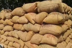  अवैध रूप से भण्डारित धान पर लगातार जारी है कार्रवाई 