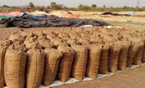 मुख्यमंत्री विष्णु देव साय की पहल पर निरंतर धान खरीदी का सिलसिला जारी मुख्यमंत्री विष्णु देव साय की पहल पर निरंतर धान खरीदी का सिलसिला जारी