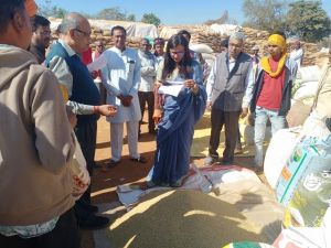 कलेक्टर ने धान संग्रहण केन्द्र अरसनारा का किया निरीक्षण कलेक्टर ने धान संग्रहण केन्द्र अरसनारा का किया निरीक्षण