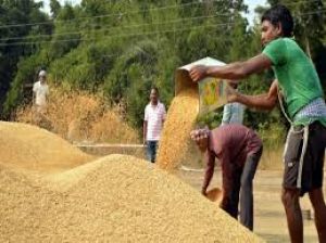 मुख्यमंत्री विष्णु देव साय की पहल पर निरंतर धान खरीदी का सिलसिला जारी मुख्यमंत्री विष्णु देव साय की पहल पर निरंतर धान खरीदी का सिलसिला जारी