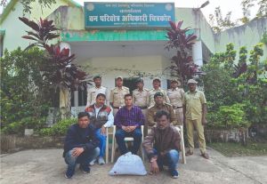 पेंगोलिन तस्करों पर कसा शिकंजा, तीन तस्कर पकड़ाए पेंगोलिन तस्करों पर कसा शिकंजा, तीन तस्कर पकड़ाए