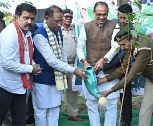 केंद्रीय मंत्री शिवराज सिंह चौहान ने नगपुरा में किया वृक्षारोपण केंद्रीय मंत्री शिवराज सिंह चौहान ने नगपुरा में किया वृक्षारोपण