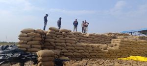 भौतिक सत्यापन में मिली गड़बड़ी, 14 खरीदी प्रभारियों को नोटिस भौतिक सत्यापन में मिली गड़बड़ी, 14 खरीदी प्रभारियों को नोटिस