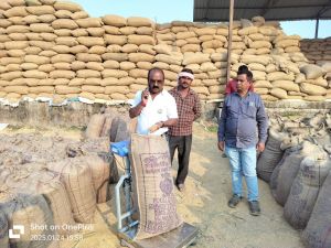 सत्यापन टीम की कार्रवाई, 93 लाख रुपए की 2997 क्विंटल धान का रकबा समर्पण सत्यापन टीम की कार्रवाई, 93 लाख रुपए की 2997 क्विंटल धान का रकबा समर्पण