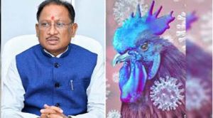 मुख्यमंत्री ने बर्ड फ्लू की रोकथाम के लिए कलेक्टरों को दिए दिशा निर्देश मुख्यमंत्री ने बर्ड फ्लू की रोकथाम के लिए कलेक्टरों को दिए दिशा निर्देश