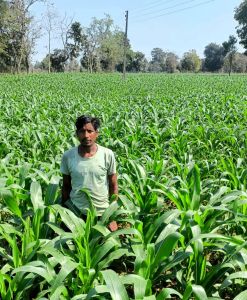 ग्रीष्मकालीन धान के बदले अन्य फसल के उत्पादन से किसान श्रवण कुमार की आय हुई दुगुनी ग्रीष्मकालीन धान के बदले अन्य फसल के उत्पादन से किसान श्रवण कुमार की आय हुई दुगुनी