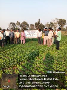 तिलहन आदर्श ग्राम हिर्री में मूंगफली प्रदर्शन का वैज्ञानिकों द्वारा किया गया निरीक्षण तिलहन आदर्श ग्राम हिर्री में मूंगफली प्रदर्शन का वैज्ञानिकों द्वारा किया गया निरीक्षण