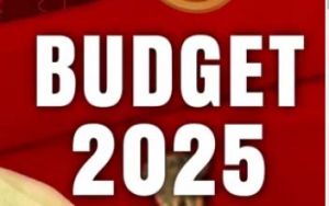 बजट मे श्रीमंत शंकर देव अनुसंधान पीठ के लिए दो करोड़ का प्रावधान 