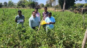 अपर कलेक्टर चन्द्रकांत कौशिक ने किया उद्यानिकी कृषक परिक्षेत्र ग्राम भोथली एवं ओरमा का भ्रमण
