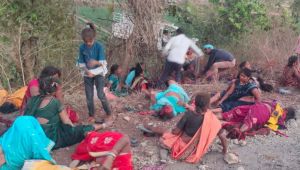 कवर्धा में पिकअप वाहन पलटने से 2 की मौत, 35 घायल कवर्धा में पिकअप वाहन पलटने से 2 की मौत, 35 घायल