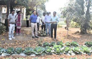 कलेक्टर ने डौण्डी विकासखण्ड के ग्राम खल्लारी एवं गिधाली में उद्यानिकी फसलों का किया अवलोकन कलेक्टर ने डौण्डी विकासखण्ड के ग्राम खल्लारी एवं गिधाली में उद्यानिकी फसलों का किया अवलोकन