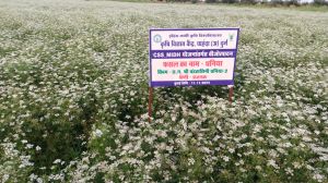 कृषि विज्ञान केन्द्र पाहंदा में एक दिवसीय प्रशिक्षण 19 मार्च को कृषि विज्ञान केन्द्र पाहंदा में एक दिवसीय प्रशिक्षण 19 मार्च को